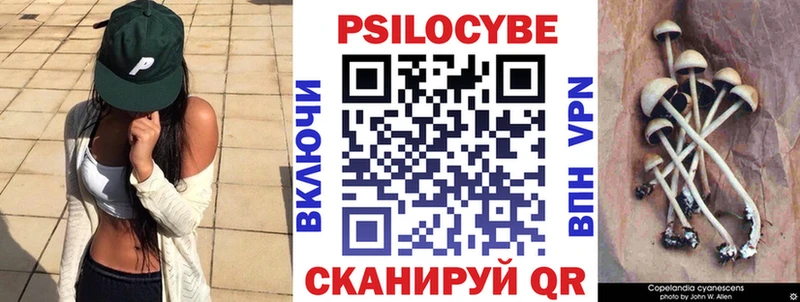 цены наркотик  Новосокольники  Псилоцибиновые грибы MAGIC MUSHROOMS 